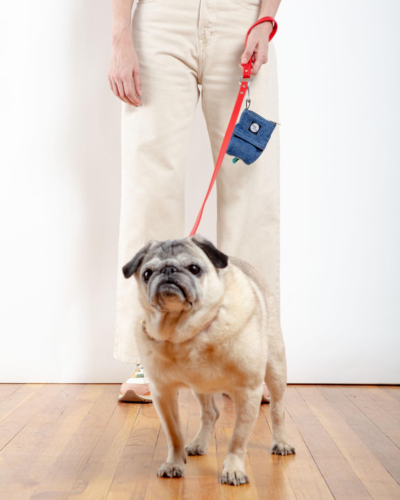 City Leash in Real Red (Made in the USA) WALK DOG & CO. COLLECTION   