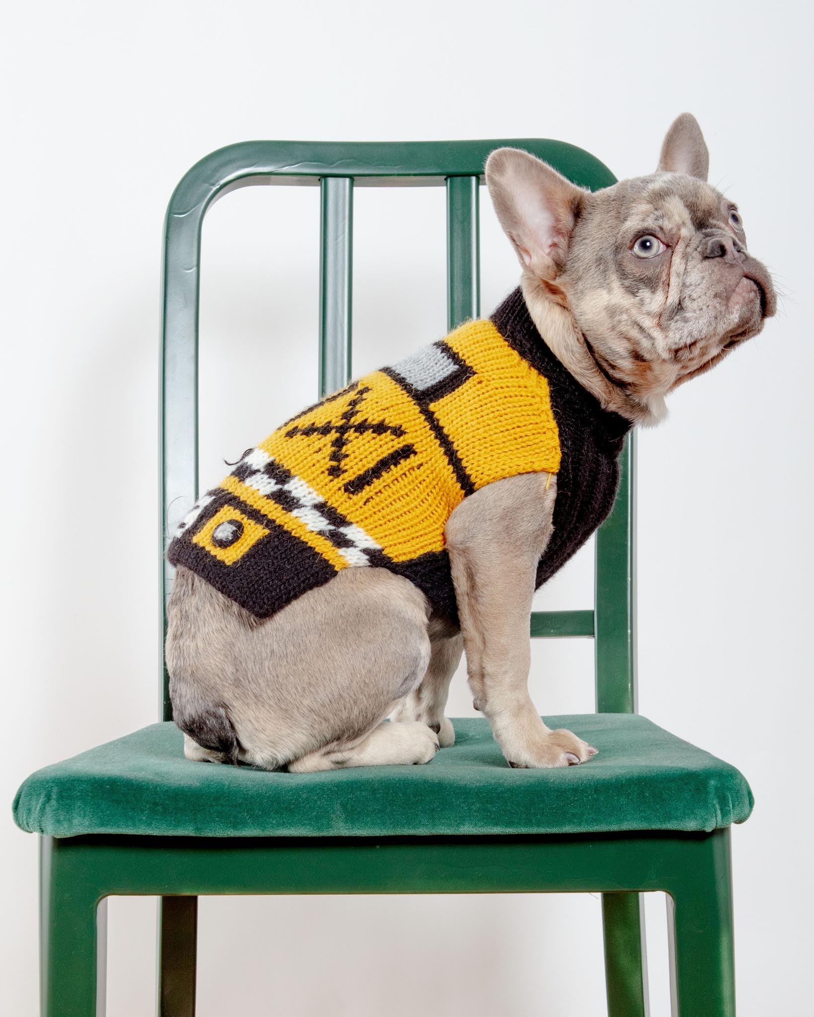 NYC Taxi Handknit Dog Sweater (Dog & Co. Exclusive) | DOG & CO. NYC Taxi Handknit Dog Sweater (Dog & Co. Exclusive) | DOG & CO.