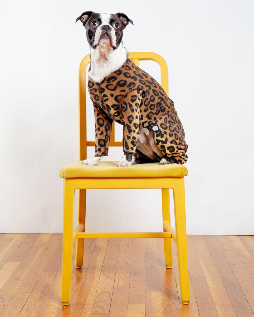 Stretch Fleece Onesie in Leopard (Made in the USA, DOG & CO. + GOLD PAW Exclusive!) Wear DOG & CO. COLLECTION   