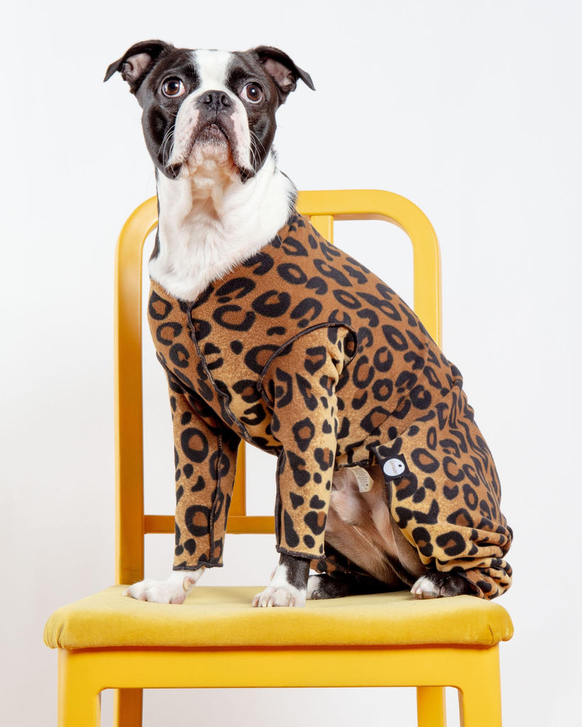 Stretch Fleece Onesie in Leopard (Made in the USA, DOG & CO. + GOLD PAW Exclusive!) Wear DOG & CO. COLLECTION   