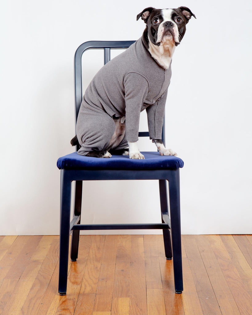 Stretch Fleece Onesie in Charcoal (Made in the USA, DOG & CO. + GOLD PAW Exclusive!) Wear DOG & CO. COLLECTION   