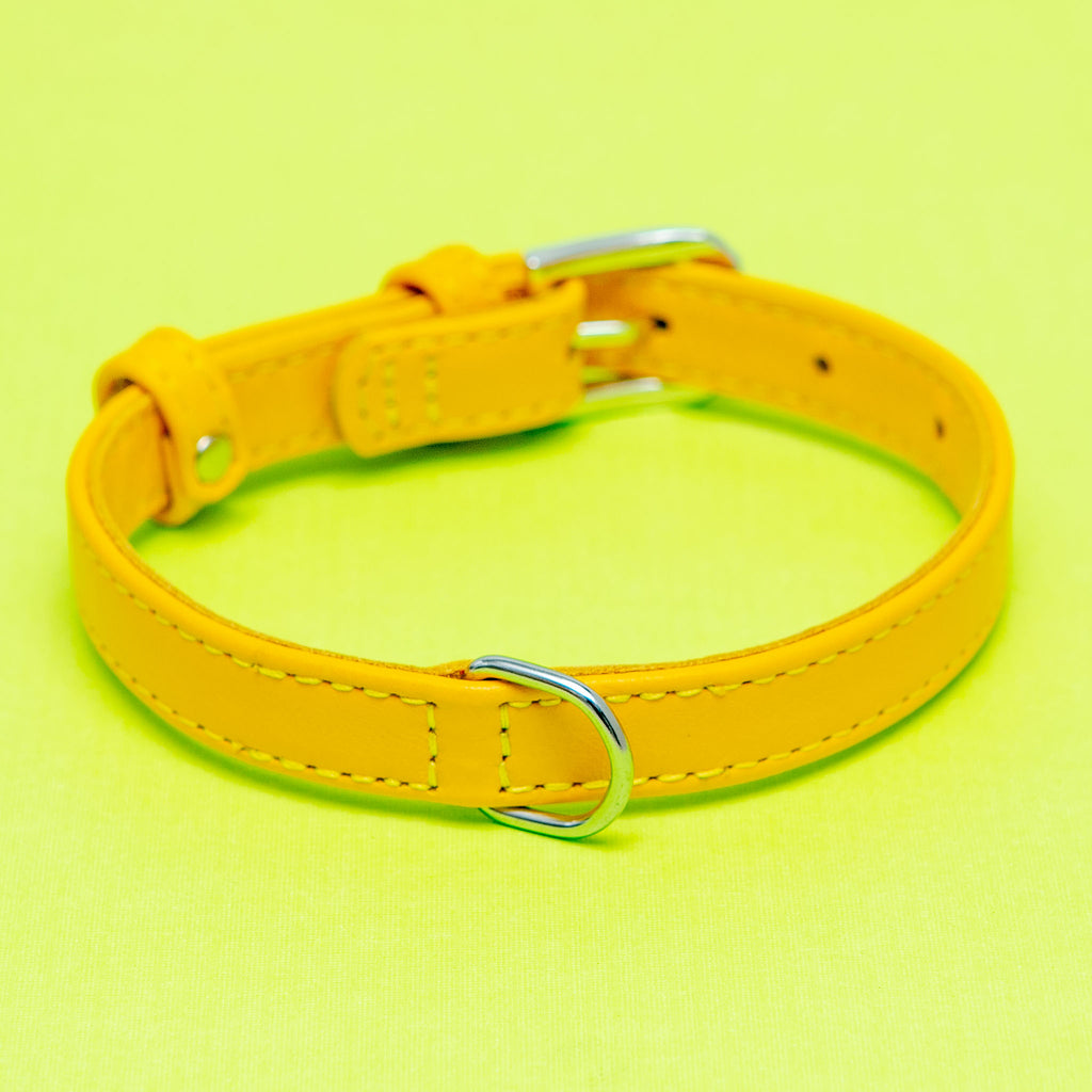 Golden Sunshine Leather Dog Collar << FINAL SALE >> WALK WAU DOG   