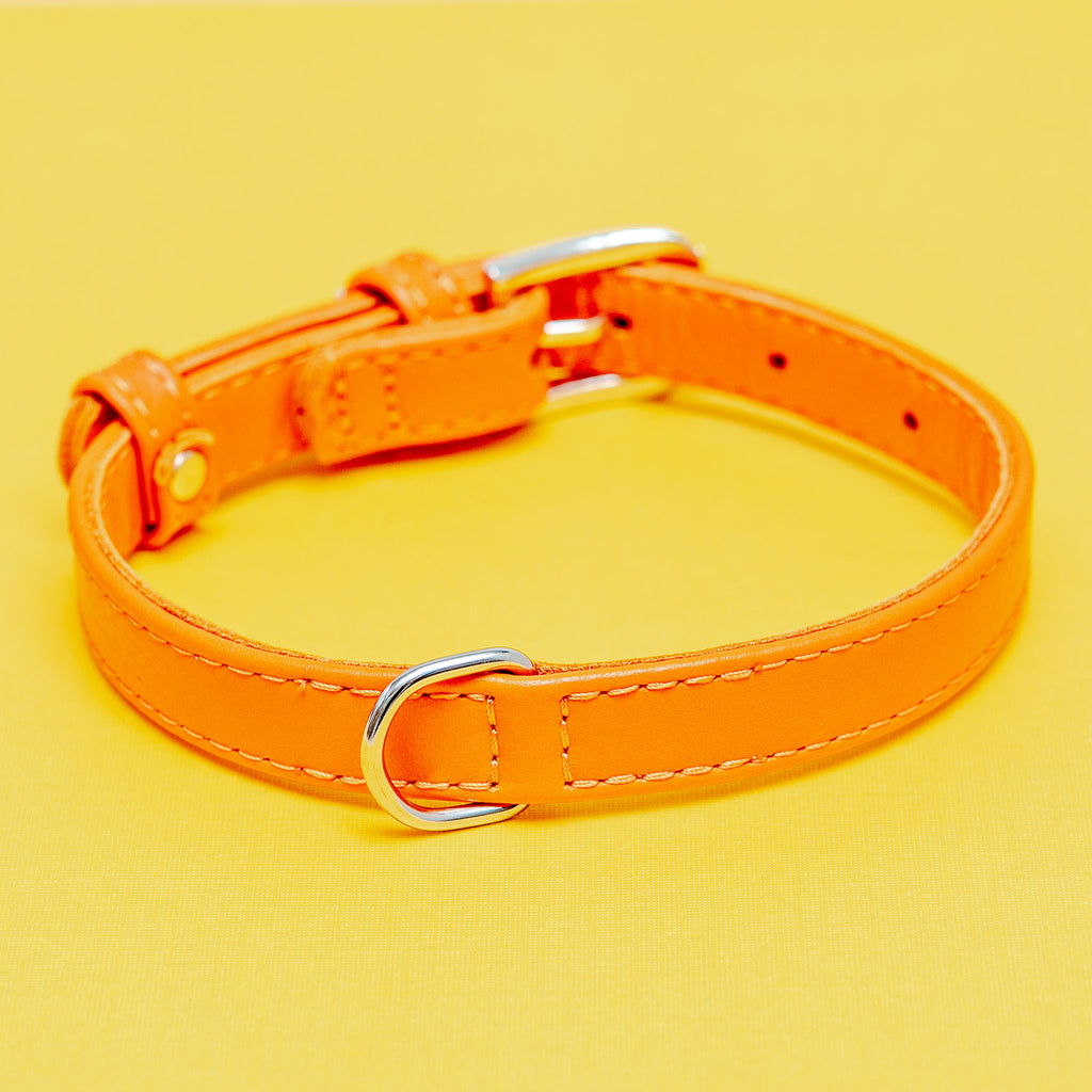 Tangerine Orange Leather Dog Collar << CLEARANCE >> WALK WAU DOG   
