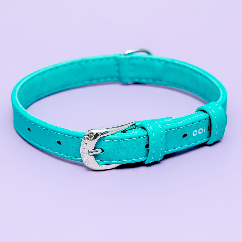 Spearmint Leather Dog Collar << CLEARANCE >> WALK WAU DOG   