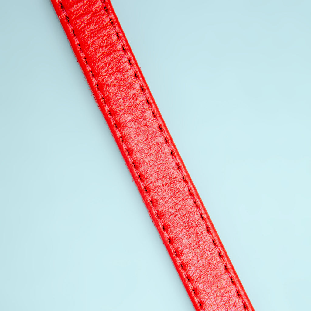 Really Red Leather Dog Collar << FINAL SALE >> WALK WAU DOG   