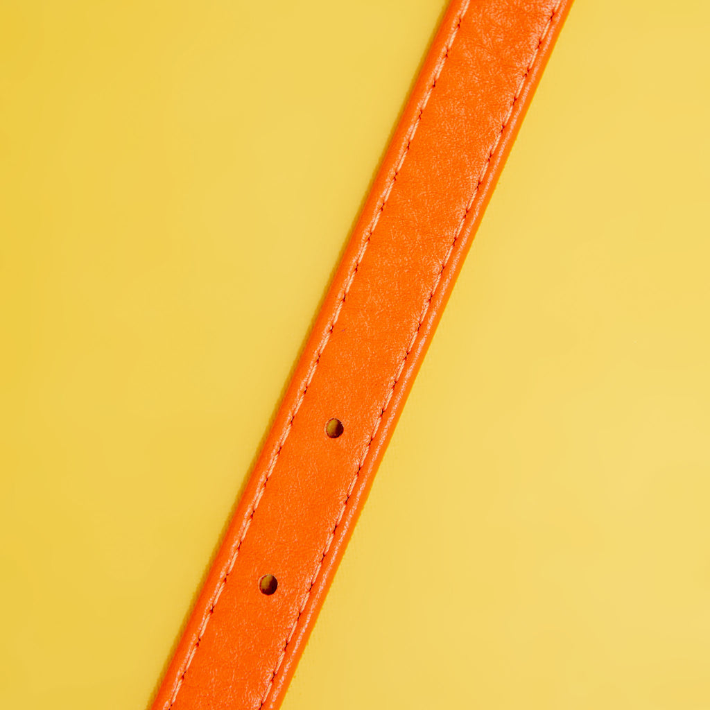 Tangerine Orange Leather Dog Collar << CLEARANCE >> WALK WAU DOG   