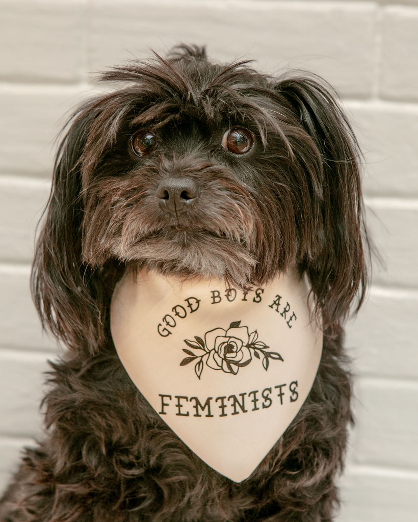 Good Boys Are Feminists Dog Bandana (Made in the USA) Wear DINGUS DESIGNS CO   