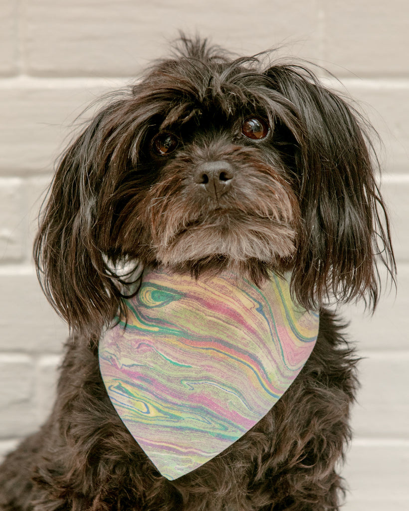 Good Boys Are Feminists Dog Bandana (Made in the USA) Wear DINGUS DESIGNS CO   