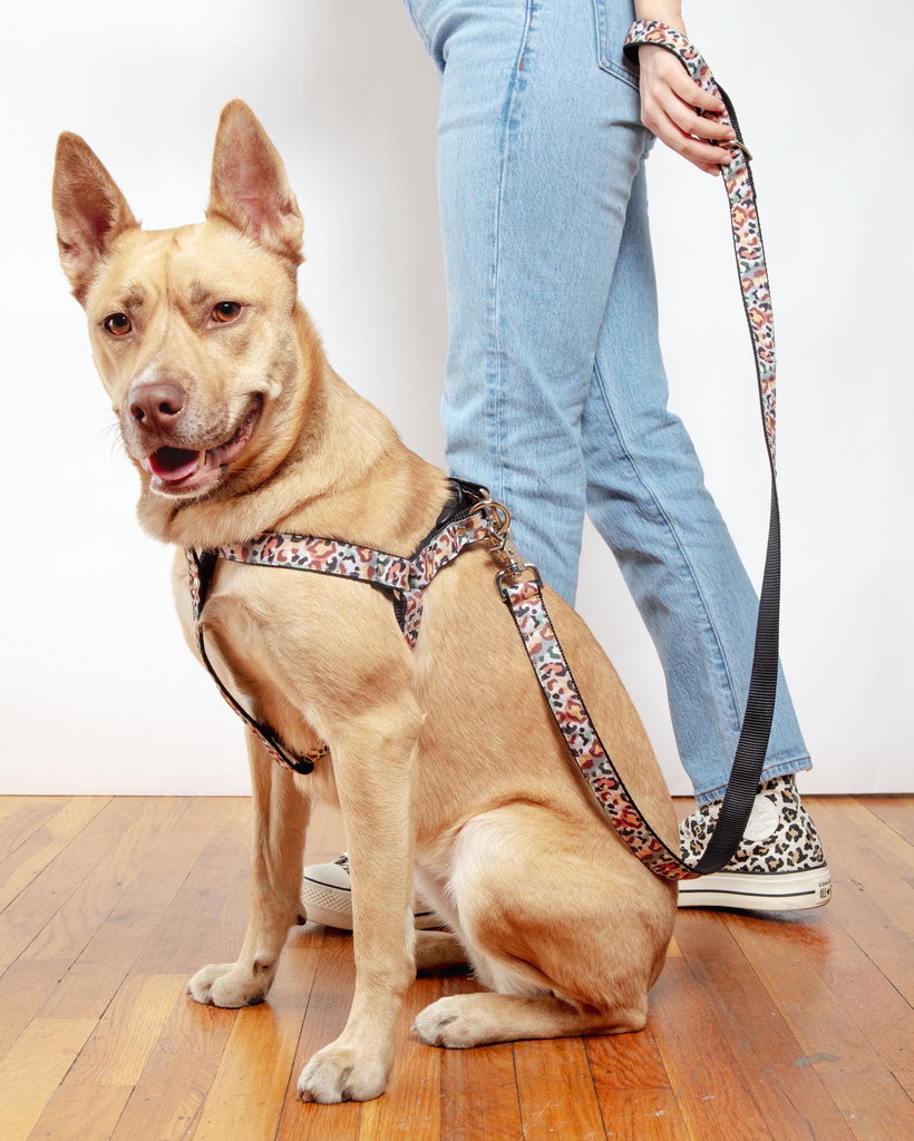 Camo Leopard Dog Leash (Made in NYC) WALK DOG & CO. COLLECTION   