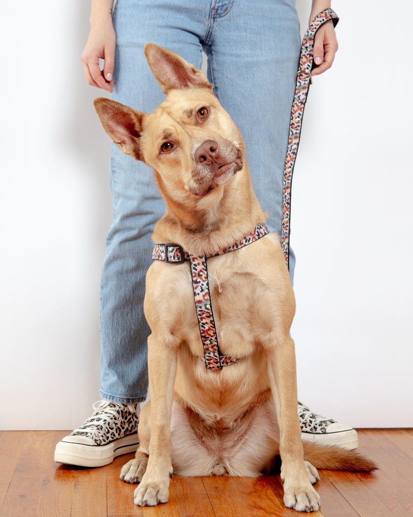 Camo Leopard Dog Leash (Made in NYC) WALK DOG & CO. COLLECTION   