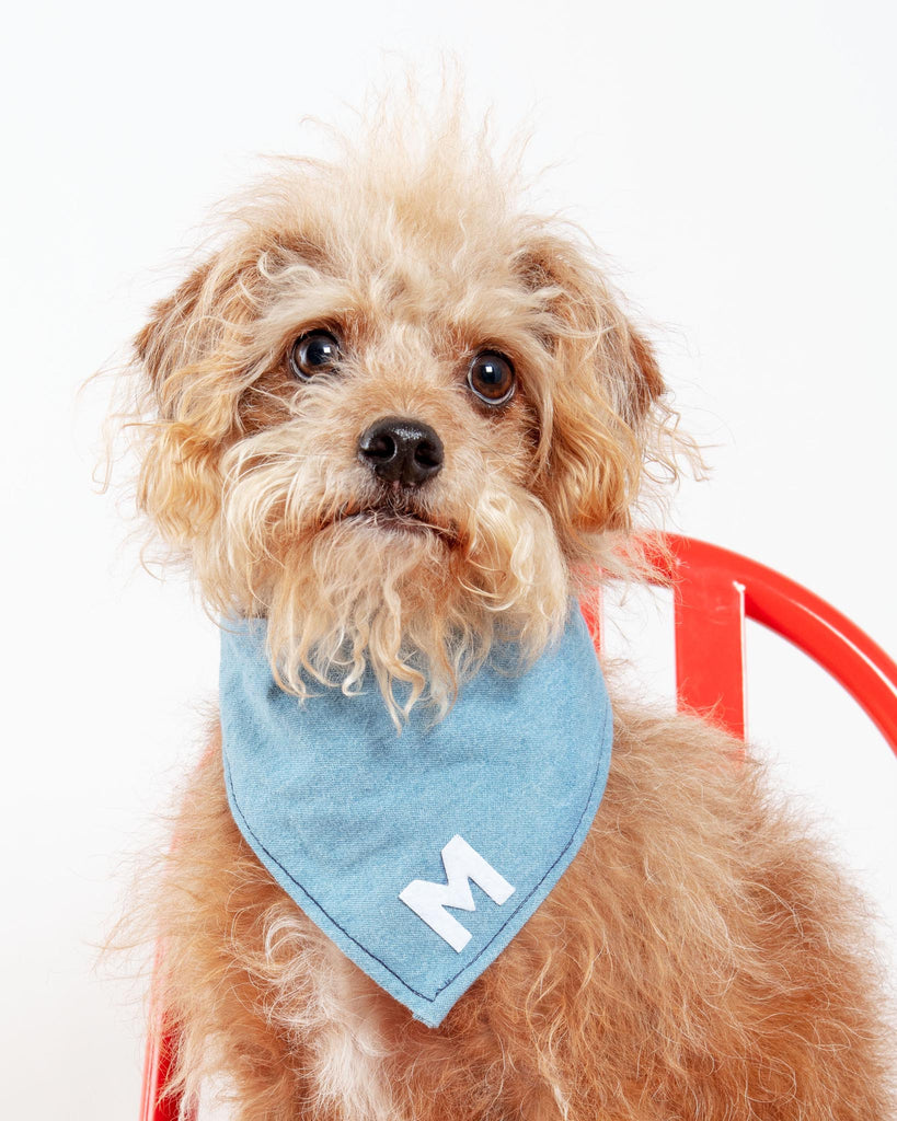 Custom Initial Pet Bandana in Light Denim (Drop-Ship) Accessories THRIFT DOG   