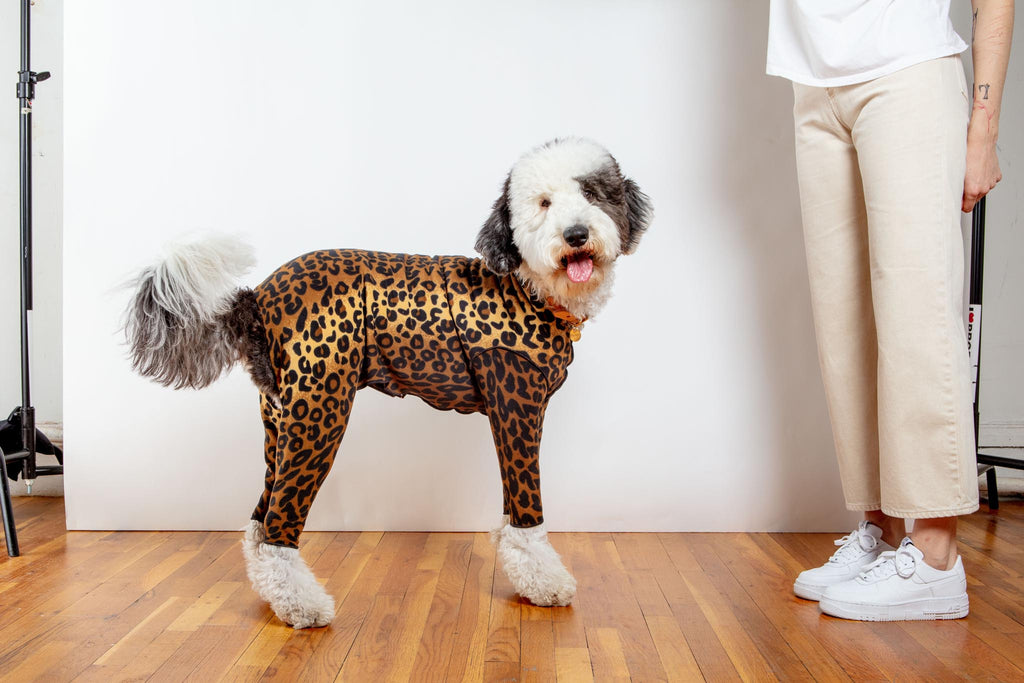 Stretch Fleece Onesie in Leopard (Made in the USA, DOG & CO. + GOLD PAW Exclusive!) Wear DOG & CO. COLLECTION   