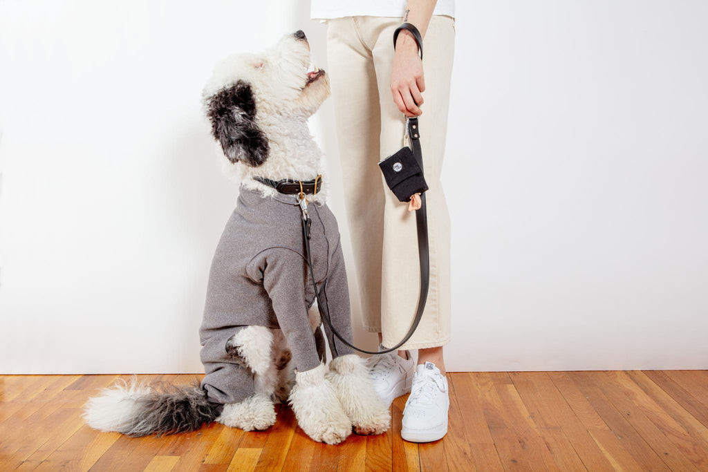 Stretch Fleece Onesie in Charcoal (Made in the USA, DOG & CO. + GOLD PAW Exclusive!) Wear GOLD PAW   