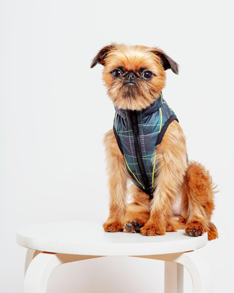 Reversible AiryVest in Hunter Plaid + Neon Yellow (DOG & CO. Exclusive) Wear AIRYVEST for DOG & CO.   