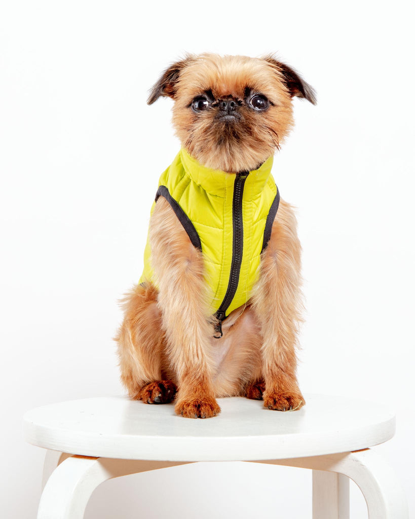 Reversible AiryVest in Hunter Plaid + Neon Yellow (DOG & CO. Exclusive) Wear AIRYVEST for DOG & CO.   