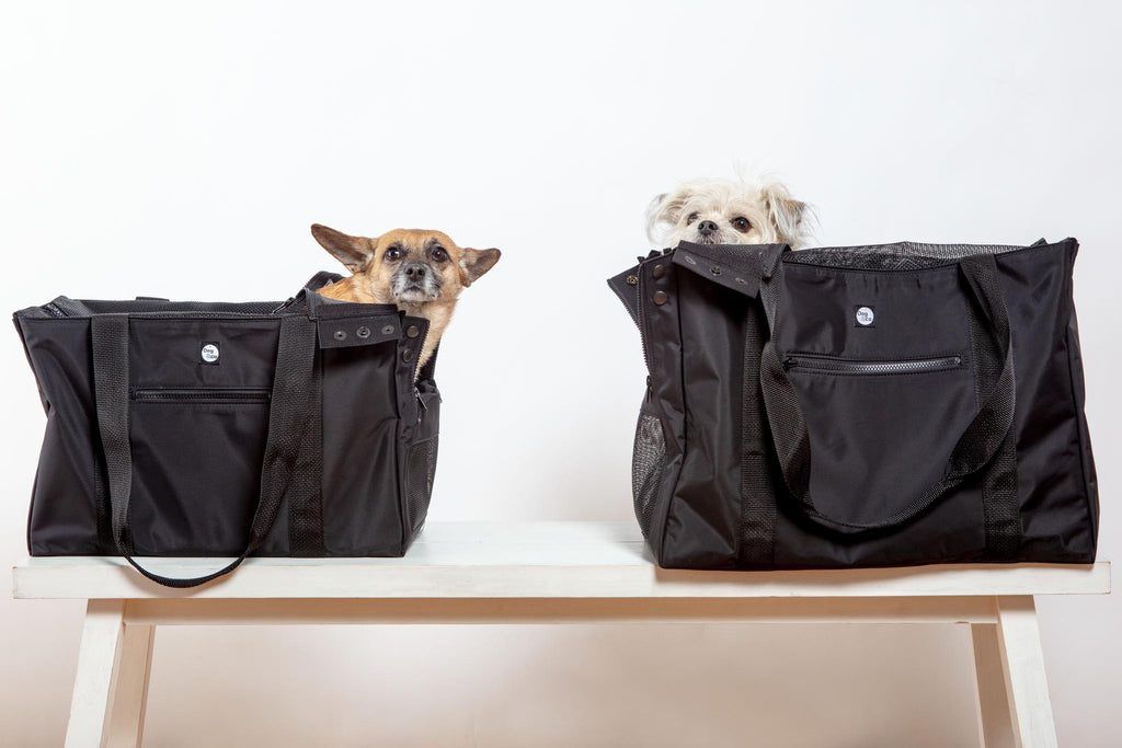 Around-Town Dog Carrier <br>(Made in the USA) Carry DOG & CO. COLLECTION   