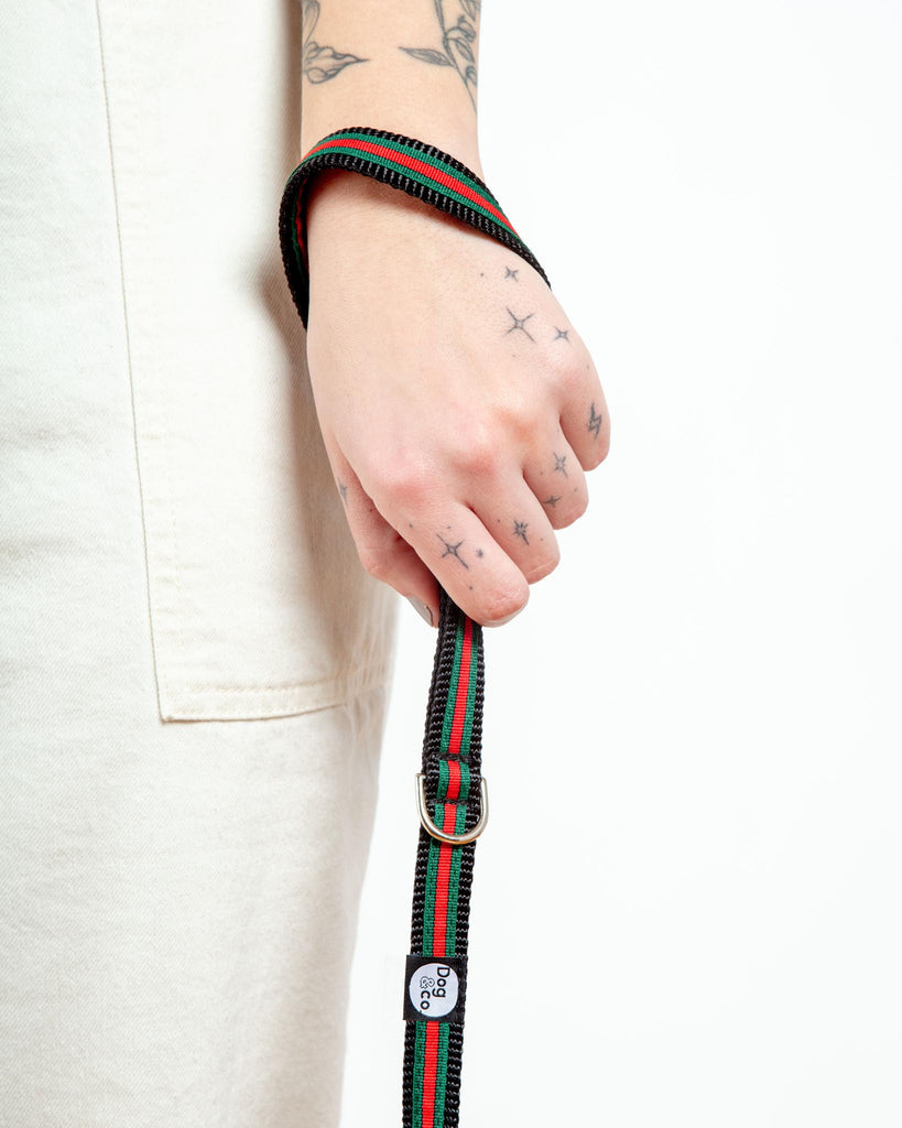 Luxe Green & Red Stripe Dog Leash (Made in NYC) WALK DOG & CO. COLLECTION   