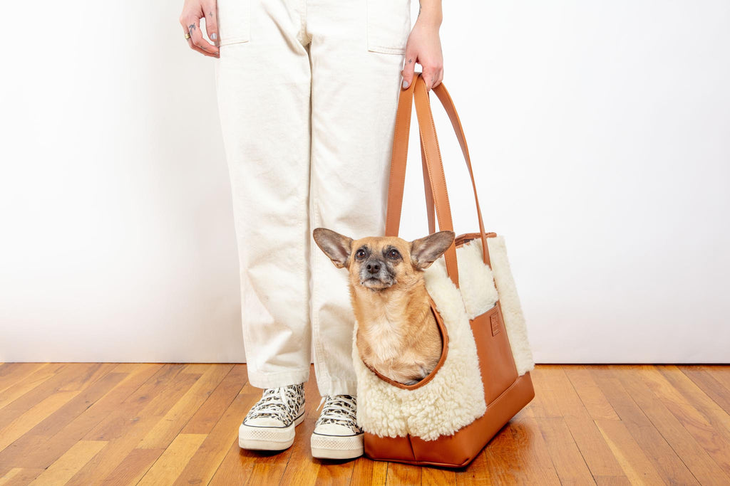 Tan Leather & Cream Shearling Luxe Dog Carrier (Dog & Co. Exclusive) (CLEARANCE) Carry LECUONA x DOG & CO.   