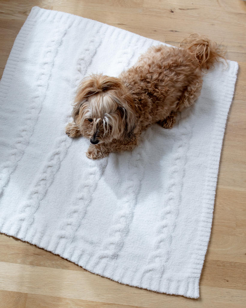 CozyChic® Heathered Cable Dog Blanket HOME BAREFOOT DREAMS   