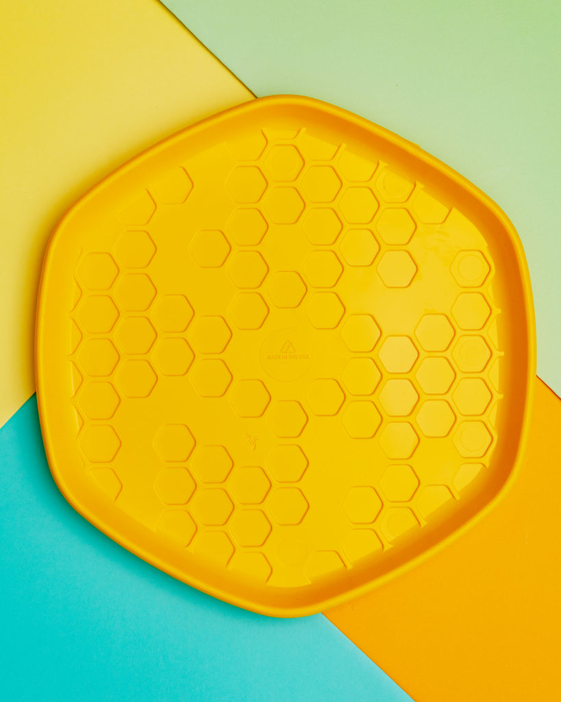 Hive 3-In-1 Dog Disc Toy (Made in the USA) Toys PROJECT HIVE PET COMPANY   