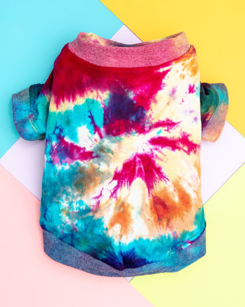 Studio Splatter Dog T-Shirt in Woodstock (CLEARANCE) Wear FOUND MY ANIMAL   