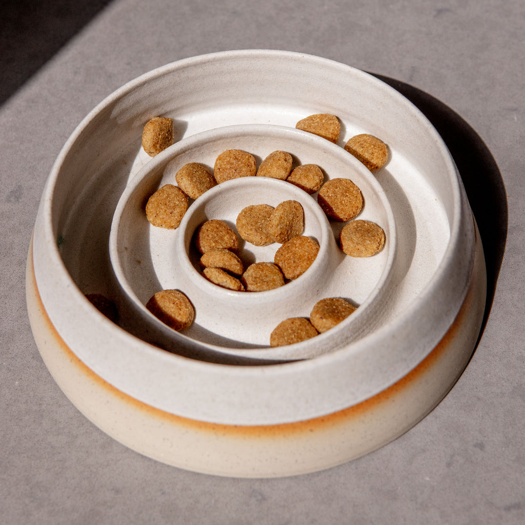 Large Elevated Ceramic Slow Feeder Dog Bowl, Dog Feeder Dog Food Bowl, –  DreHomeCrafts