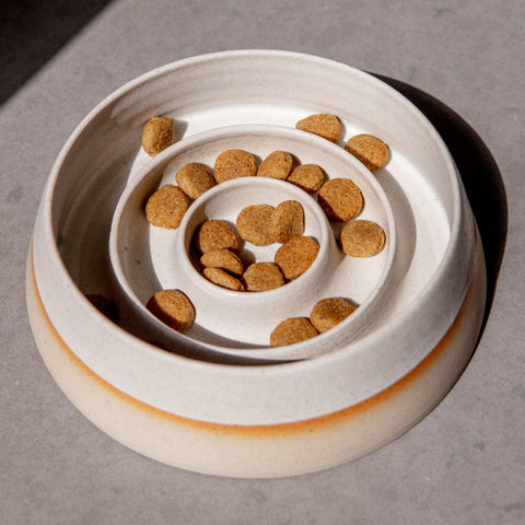 Ceramic slow feeder dog bowl hotsell