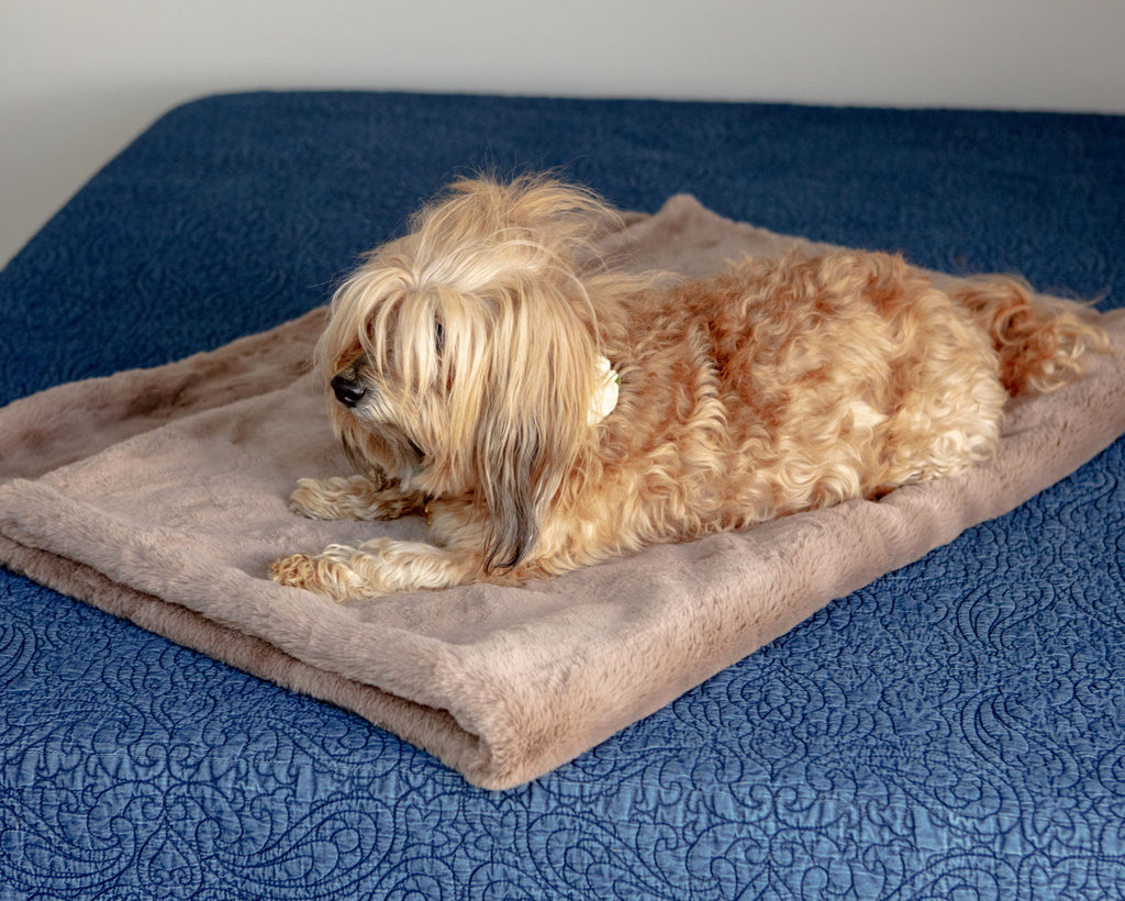 Mini Faux Fur Brady Dog Blanket in Taupe HOME APPARIS   