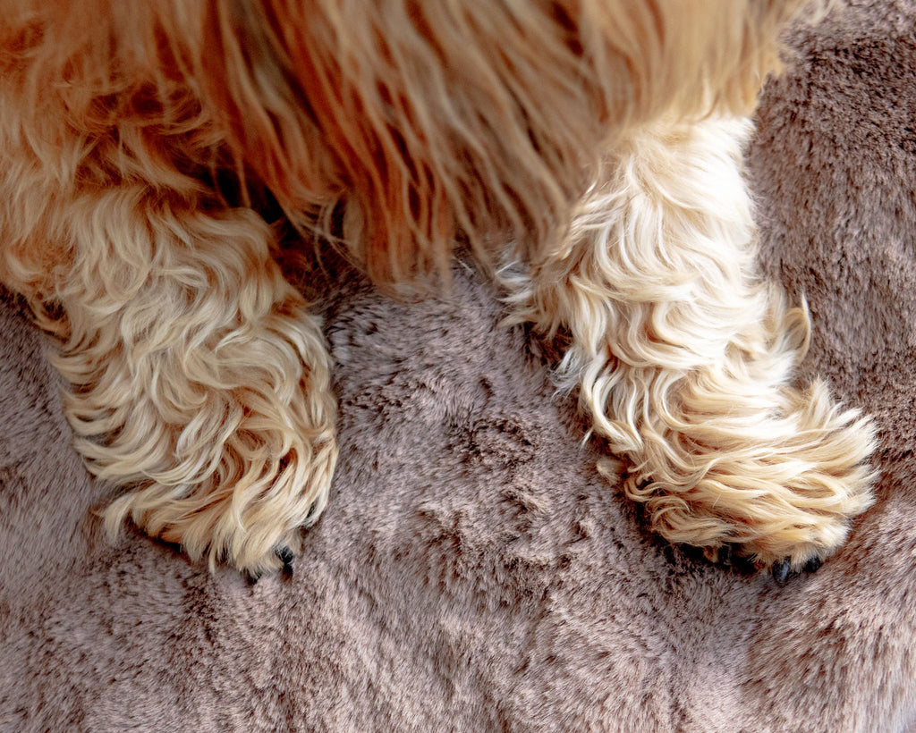 Mini Faux Fur Brady Dog Blanket in Taupe HOME APPARIS   