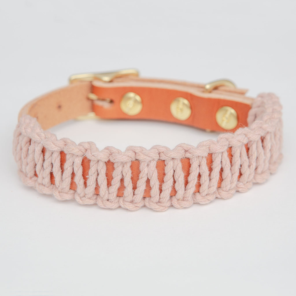 Macrame & Leather Dog Collar in Blush w/ Caramel (Made in the USA) (FINAL SALE) WALK EMBER & IVORY   