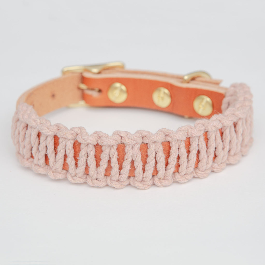 Macrame & Leather Dog Collar in Blush w/ Caramel (Made in the USA) (CLEARANCE) WALK EMBER & IVORY   