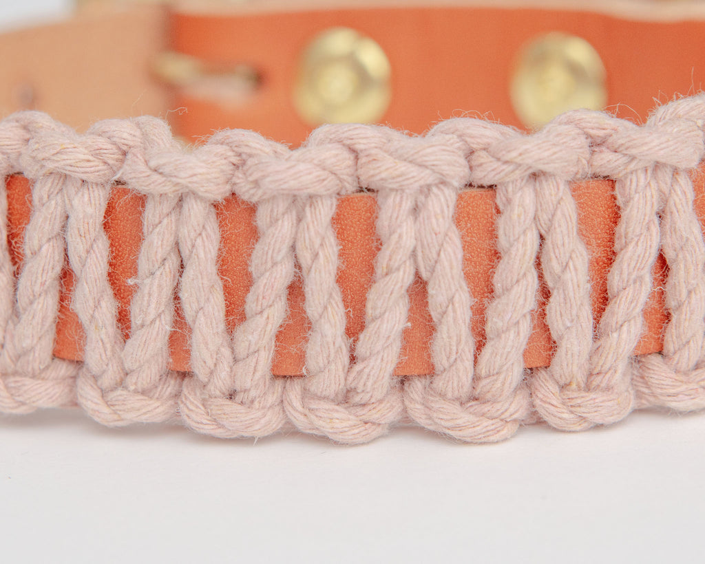 Macrame & Leather Dog Collar in Blush w/ Caramel (Made in the USA) (CLEARANCE) WALK EMBER & IVORY   