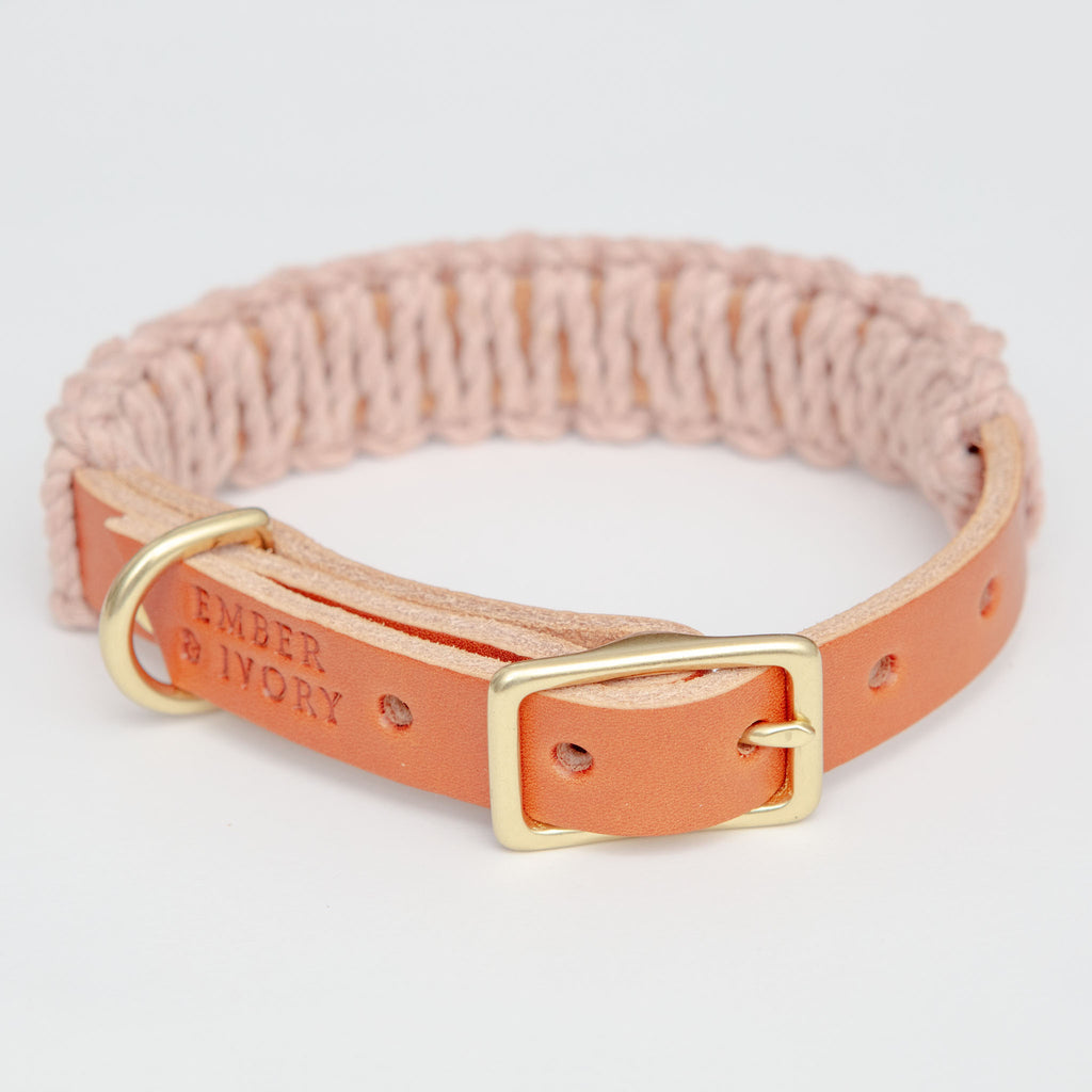 Macrame & Leather Dog Collar in Blush w/ Caramel (Made in the USA) (CLEARANCE) WALK EMBER & IVORY   