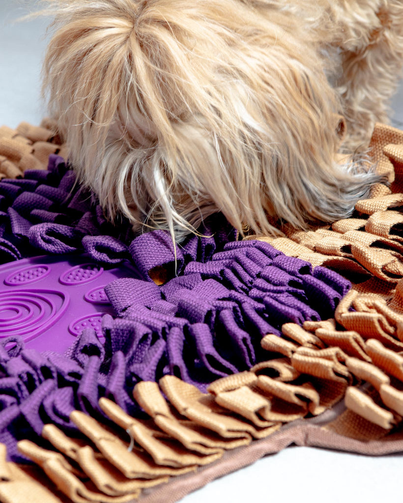 Peanut Butter and Jelly Lick Mat for Dogs