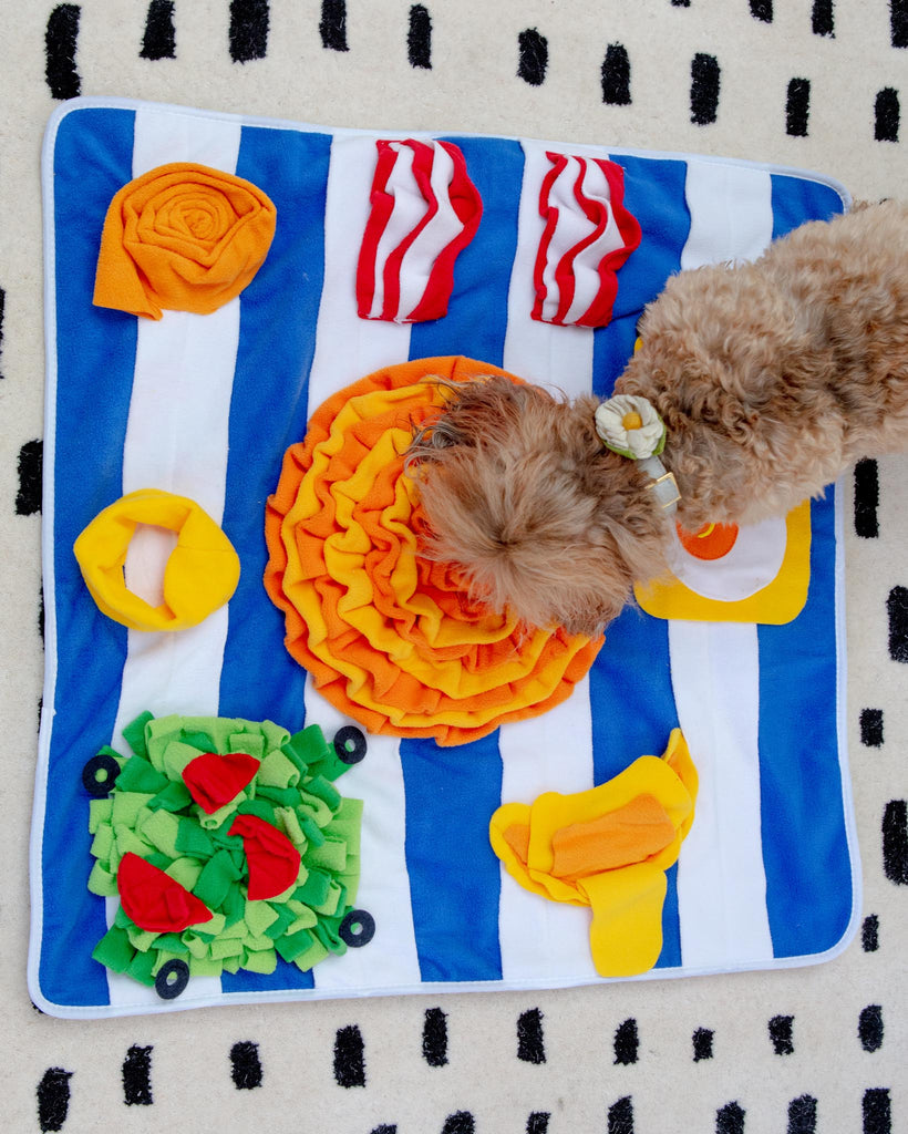 Breakfast Snuffle Mat for Dogs & Cats Play INJOYA   