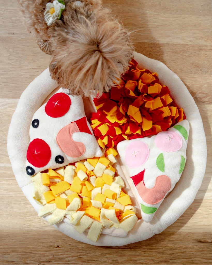 Pizza Snuffle Mat for Dogs & Cats PLAY INJOYA   