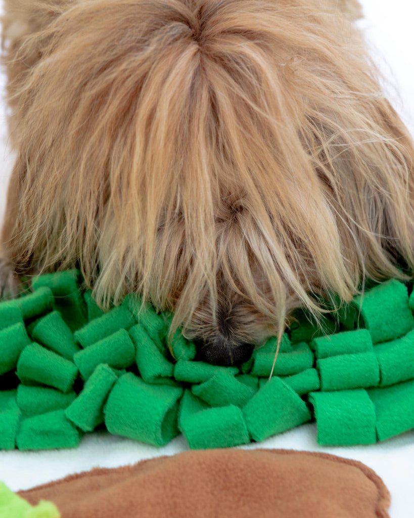 INJOYA, Spring Vegetable Garden Snuffle Dog Mat