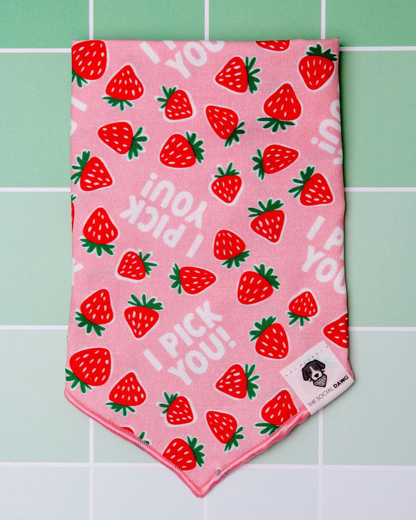 I Pick You! Strawberry Dog Bandana<br>(Made in the USA) (FINAL SALE) Wear THE SOCIAL DAWG   