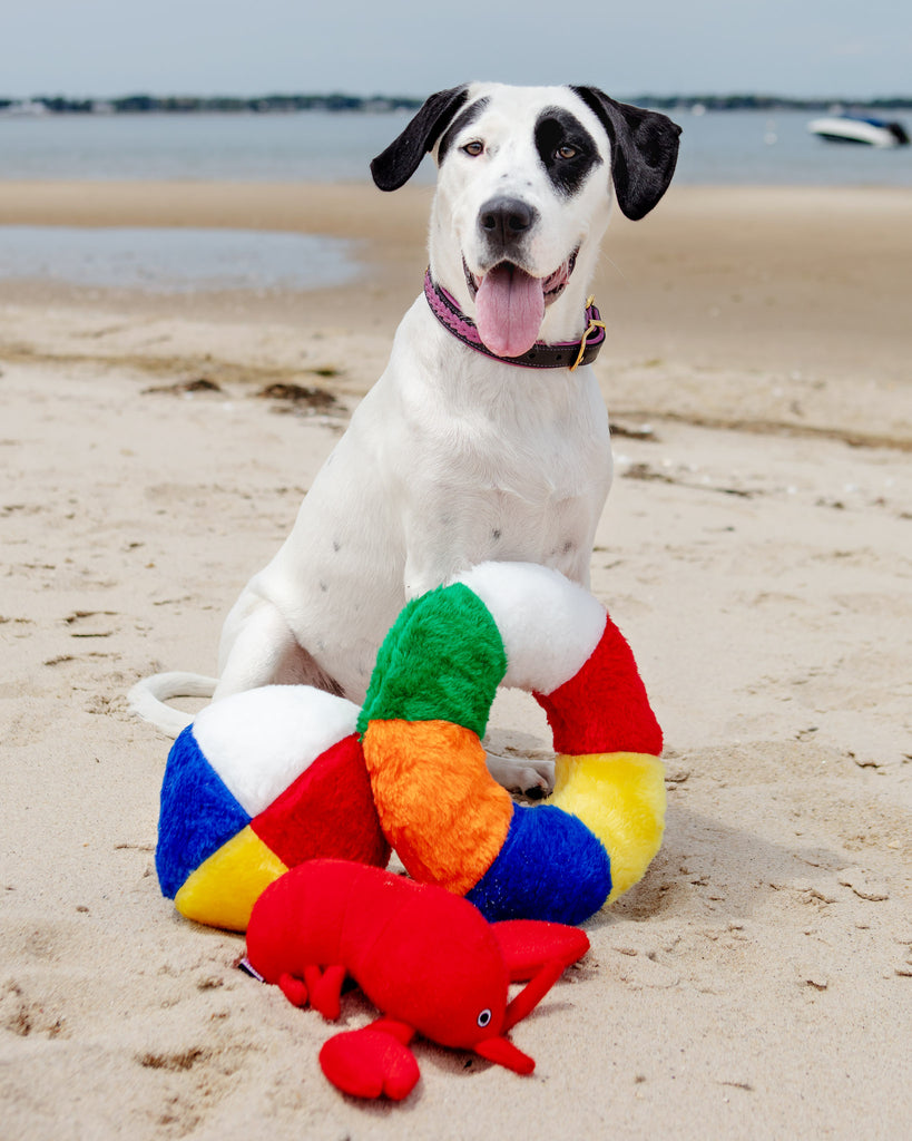 Fuzzy Sea Plush Lobster Dog Toy Play SPUNKY PUP   
