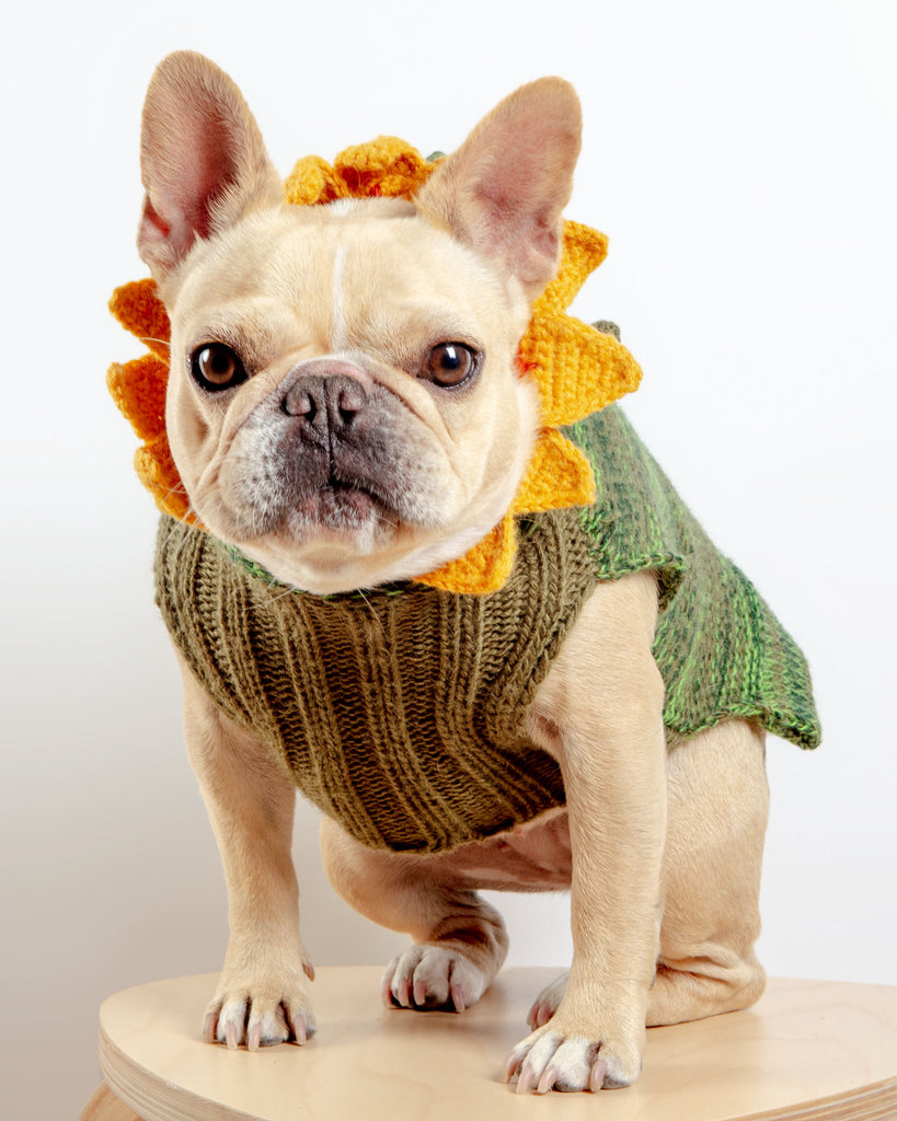 Sunflower Hand-Knit Dog Sweater (DOG & CO. Exclusive) Wear PERUVIAN KNITS   