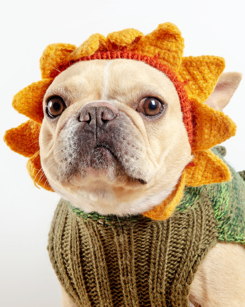 Sunflower Hand-Knit Dog Sweater (DOG & CO. Exclusive) Wear PERUVIAN KNITS   