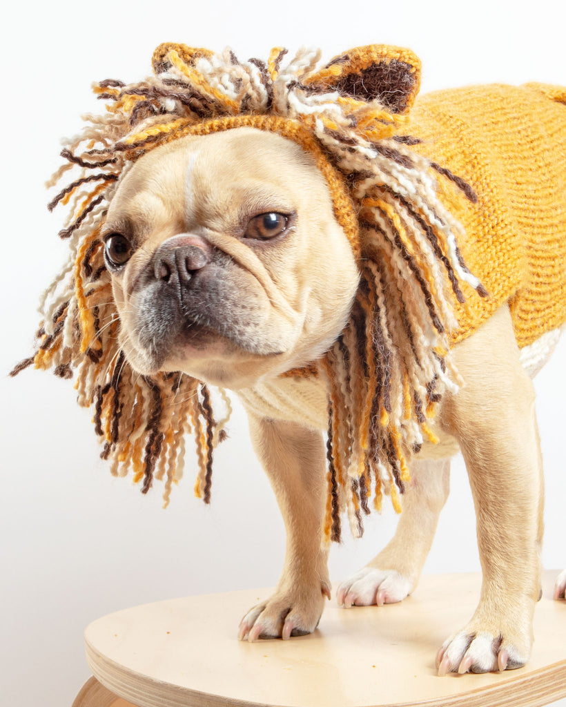 Lion Hand-Knit Dog Sweater (DOG & CO. Exclusive) (FINAL SALE) Wear PERUVIAN KNITS   