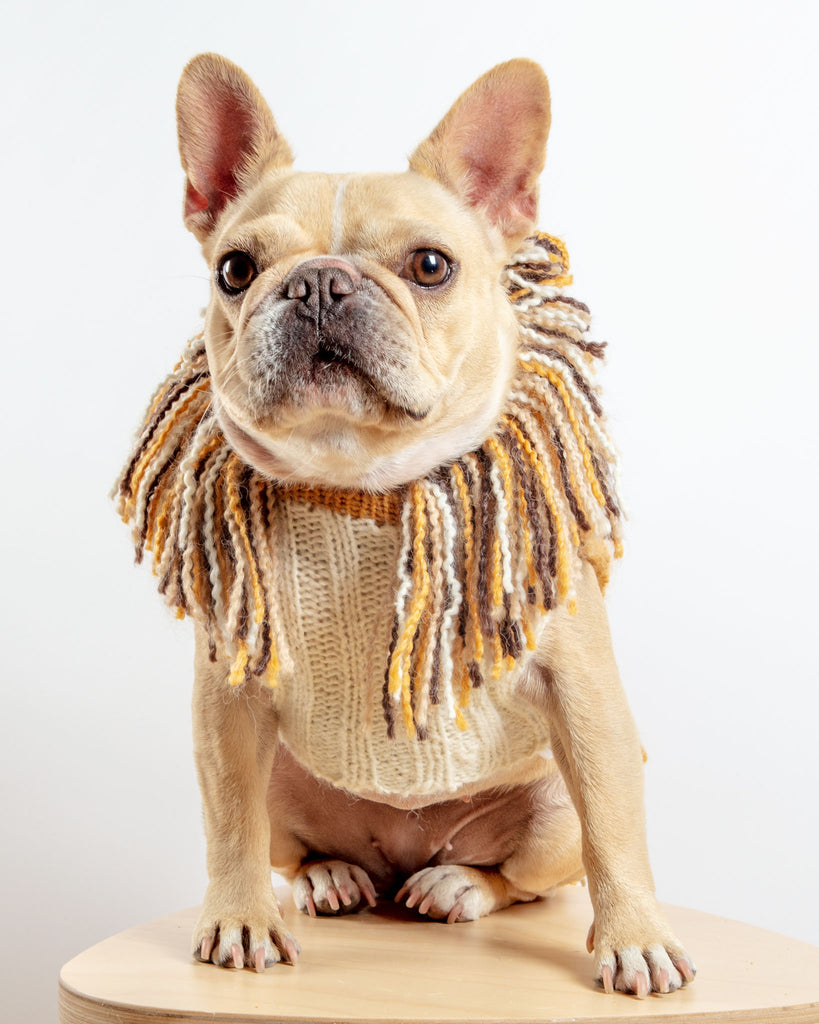 Lion Hand-Knit Dog Sweater (DOG & CO. Exclusive) (FINAL SALE) Wear PERUVIAN KNITS   