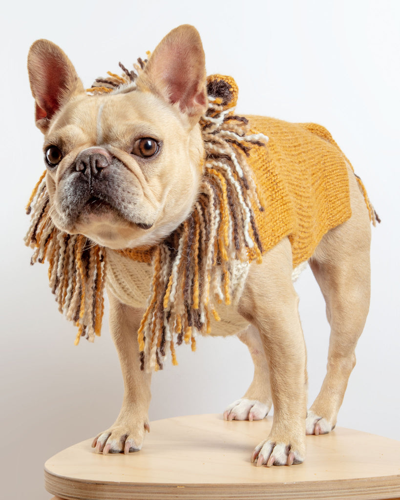 Lion Hand-Knit Dog Sweater (DOG & CO. Exclusive) (FINAL SALE) Wear PERUVIAN KNITS   