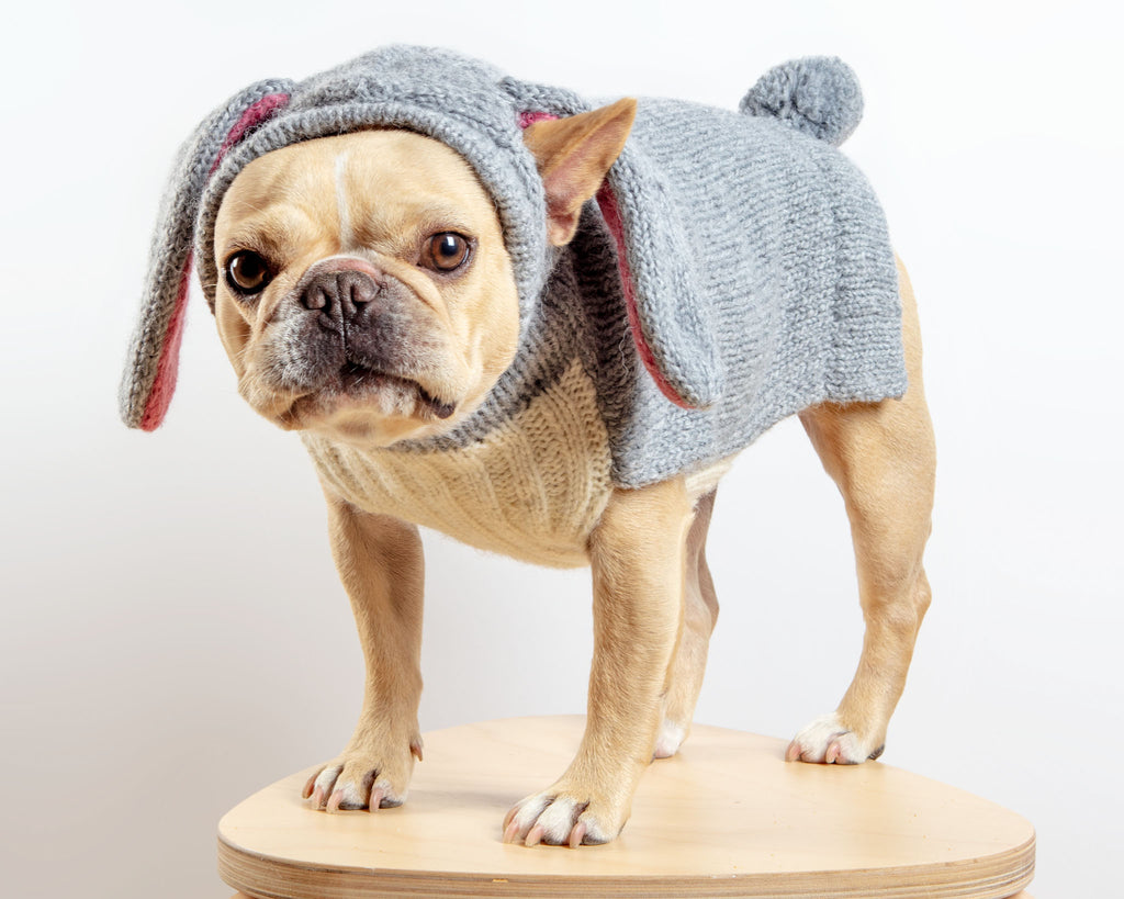 Ear-Resistable Hand-Knit Bunny Dog Sweater (DOG & CO. Exclusive) Wear PERUVIAN KNITS   