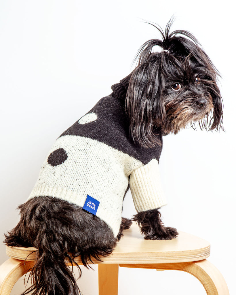 LITTLE BEAST U Me Dog Sweater DOG