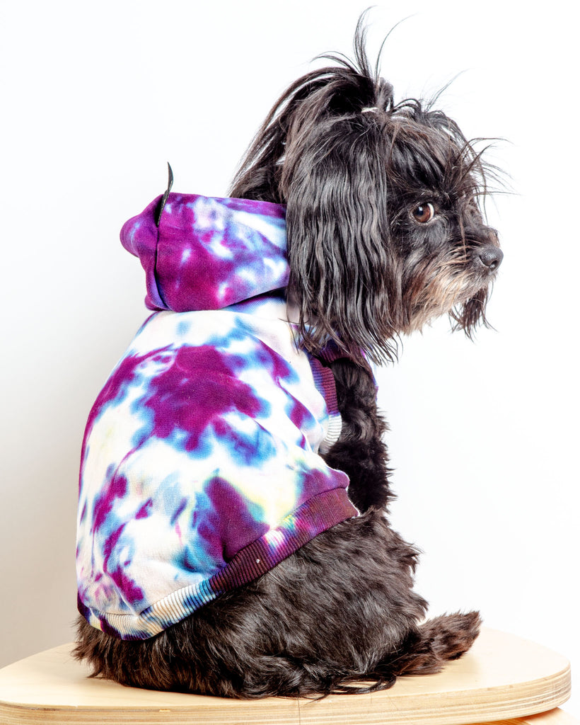 Studio Splatter Dog Sweatshirt in TV Screen (FINAL SALE) Wear FOUND MY ANIMAL   