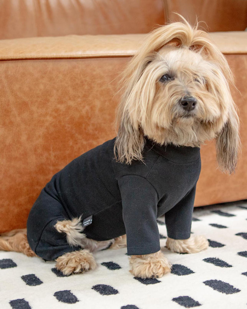 Body Warm Onesie in Black (Dog & Co. Exclusive) Dog Apparel DENTISTS APPOINTMENT   