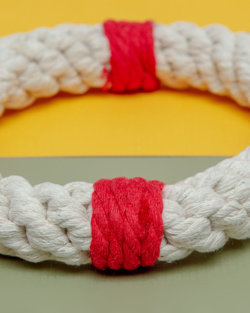 Lifesaver Rope Dog Toy Toys JAX & BONES   