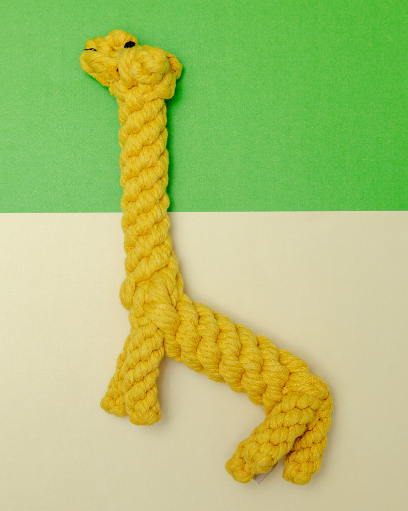 Jerry the Giraffe Rope Dog Toy Play JAX & BONES   